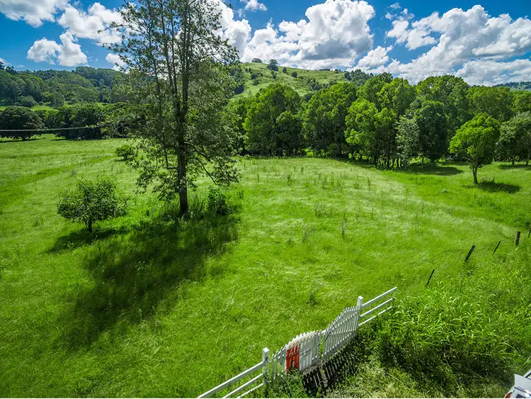 Third view of Homely rural property listing, 239 Tuntable Creek Road, The Channon NSW 2480