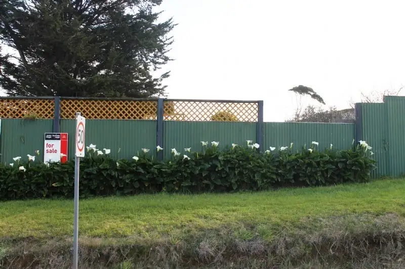 Main view of Homely land listing, 162 Smiths Beach Road, Smiths Beach VIC 3922