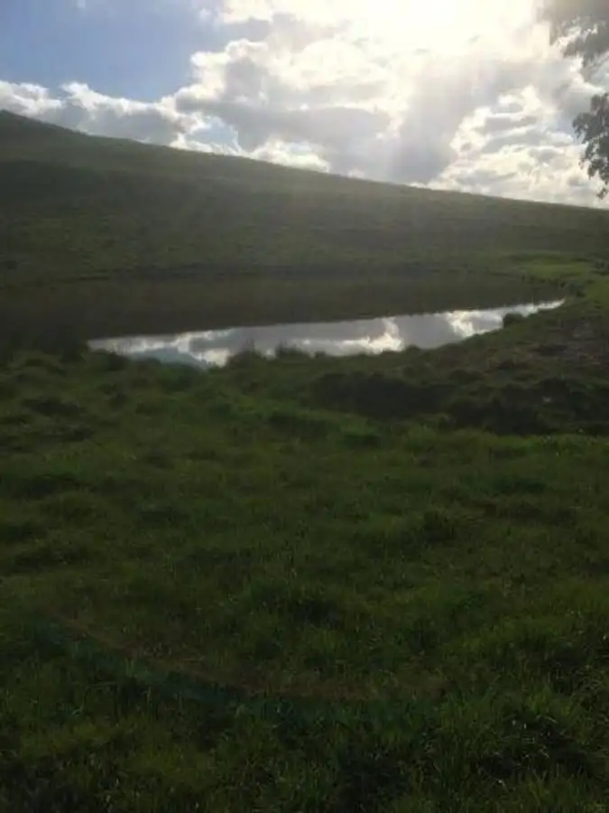 Tarrenlea Road, Coleraine VIC 3315