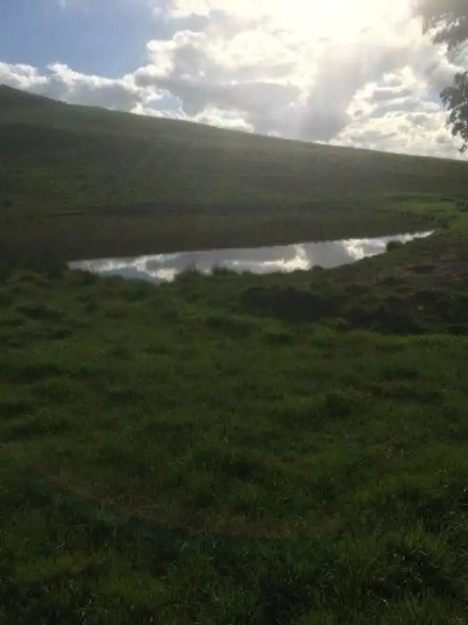 Main view of Homely rural property listing, Tarrenlea Road, Coleraine VIC 3315