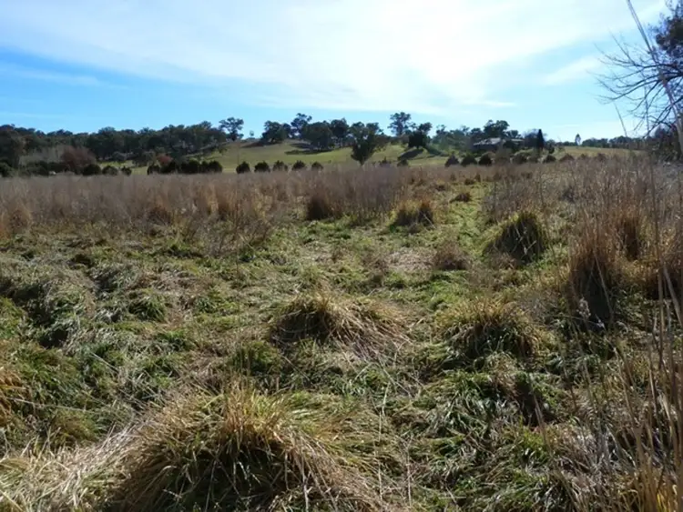 Sixth view of Homely land listing, 21 Merga Street, Cudal NSW 2864