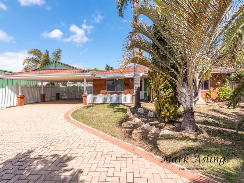 Main view of Homely house listing, 11 Newlin Mews, Clarkson WA 6030