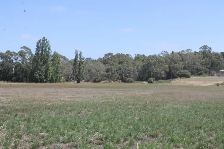 Fourth view of Homely rural property listing, 5 Reynolds Road, Barongarook VIC 3249