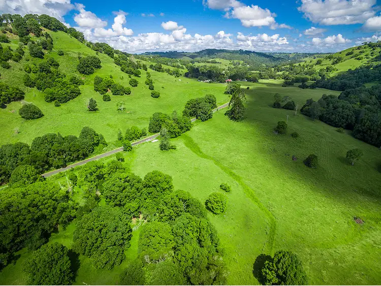Second view of Homely rural property listing, 239 Tuntable Creek Road, The Channon NSW 2480
