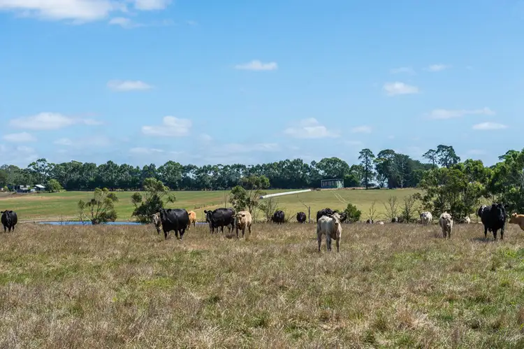 Fifth view of Homely rural property listing, 765 Tomahawk Creek Road, Irrewillipe VIC 3249