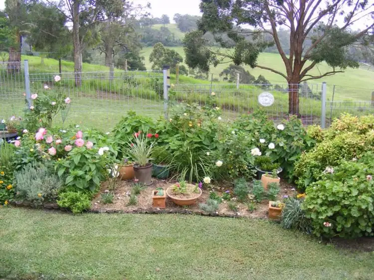 369 Cooper Gully Road, Bega NSW 2550