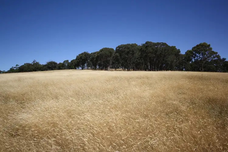 Third view of Homely land listing, LOT 4 Lake Road, Beaufort VIC 3373