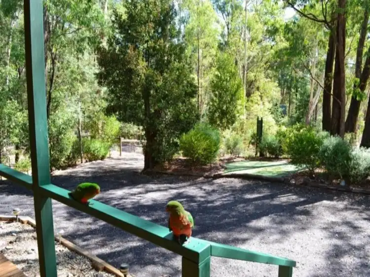 Main view of Homely house listing, 47 Warrambat Road, Sawmill Settlement VIC 3723