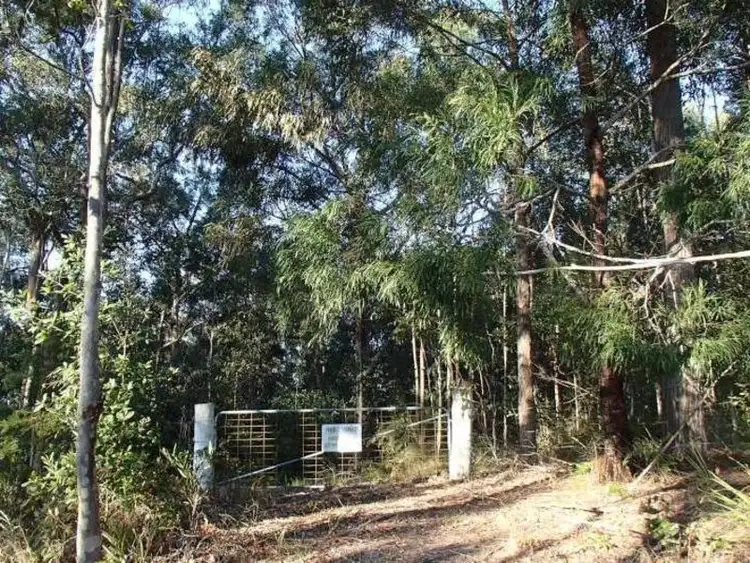 Second view of Homely rural property listing, Lot 1 Woodburn Road, Morton NSW 2538