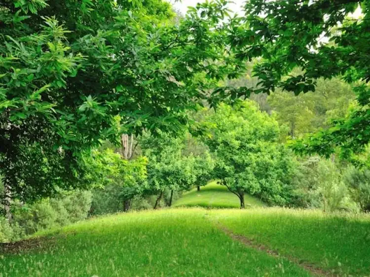 Third view of Homely rural property listing, 30 Van Ess Road, Ferndale VIC 3821