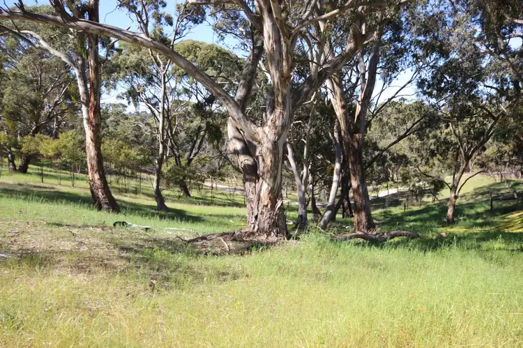 Sixth view of Homely land listing, 44 Norman Drive, Clare SA 5453