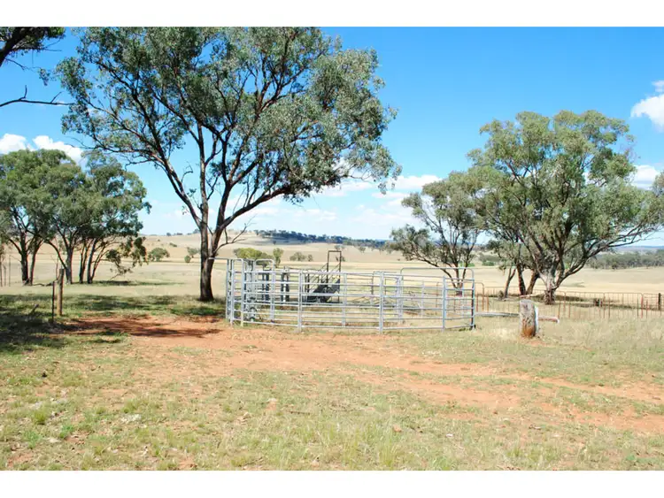 Fifth view of Homely rural property listing, 4096 Henry Parkes Way, Manildra NSW 2865