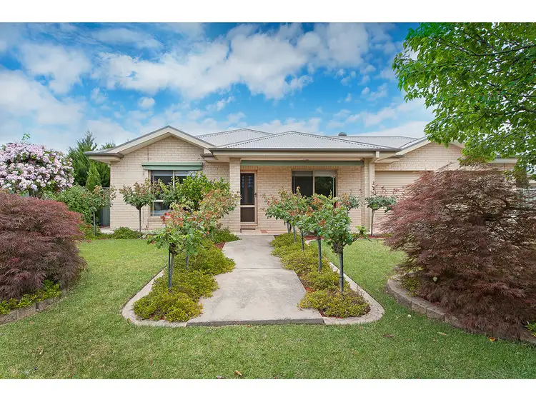 19 Robbins Drive, East Albury NSW 2640