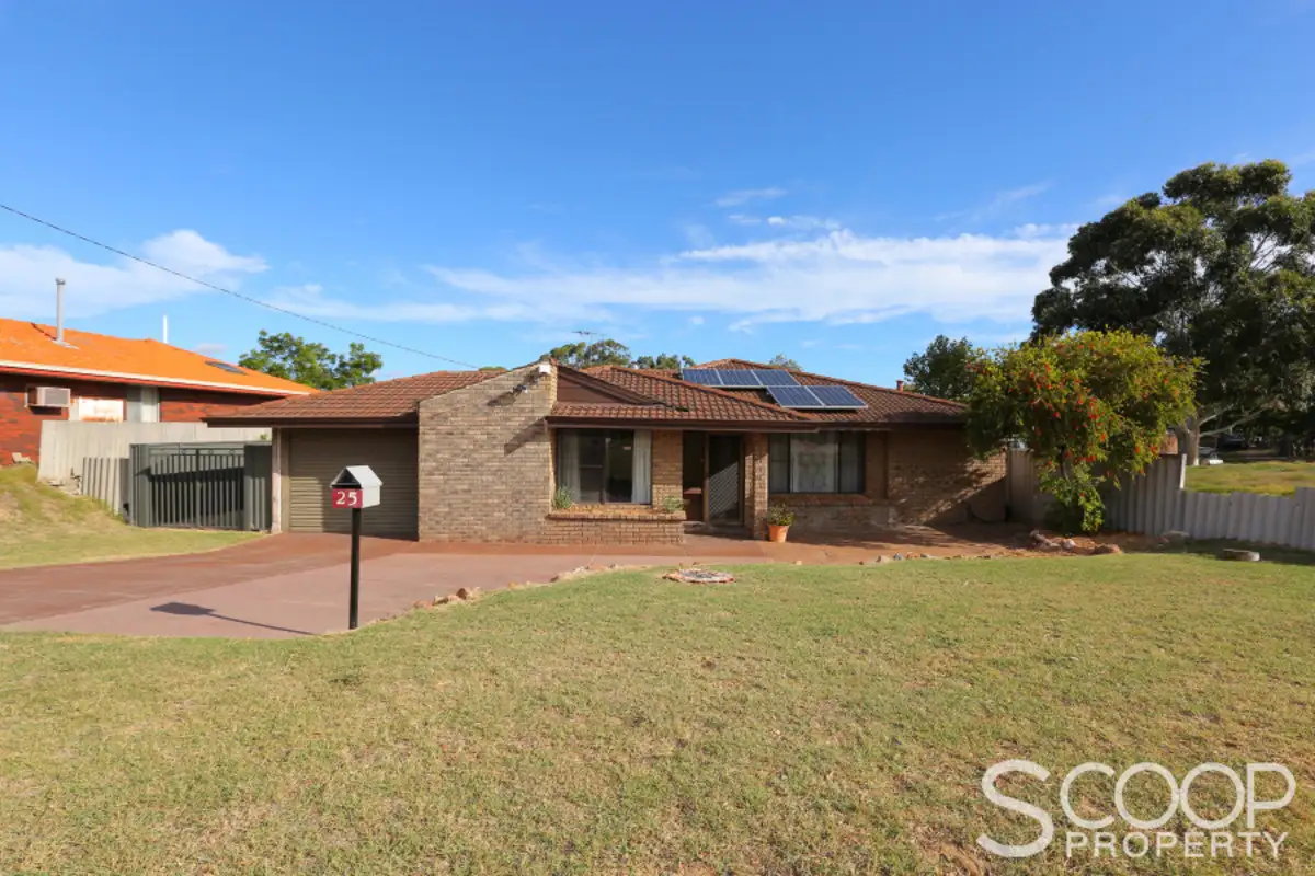 Main view of Homely house listing, 25 Tolley Court, Hamilton Hill WA 6163
