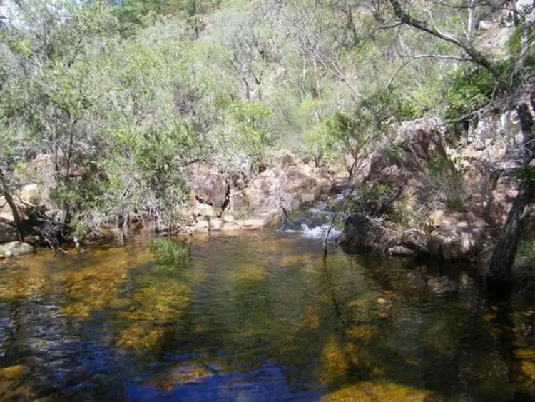 Second view of Homely rural property listing, 1221 Dude Ranch Road, Iveragh QLD 4680