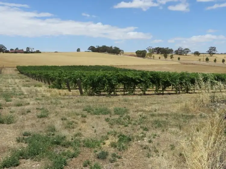 Lot 11 Kingston Terrace, Auburn SA 5451