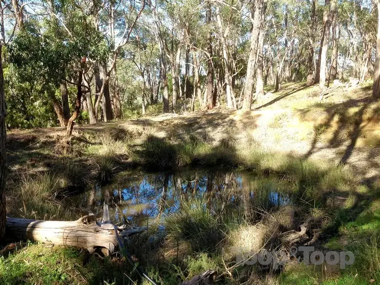 Third view of Homely land listing, 115 Sheoak Road, Crafers West SA 5152