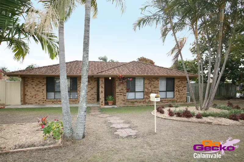Main view of Homely house listing, 71 Ackama Street, Algester QLD 4115