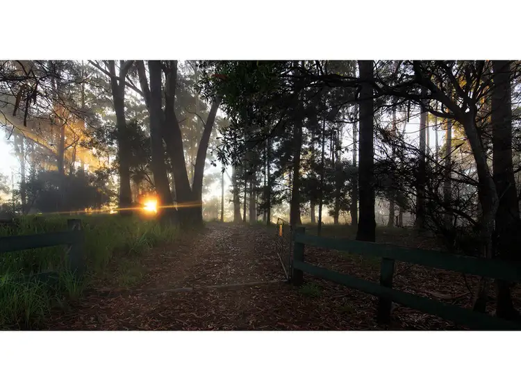 Fourth view of Homely rural property listing, 670 Ponsfords Road, Comboyne NSW 2429