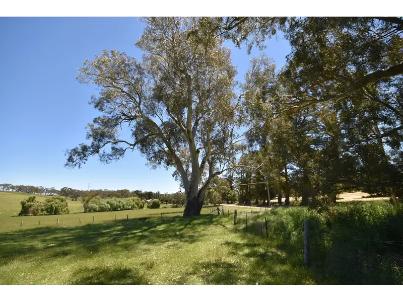 Main view of Homely rural property listing, Lot 141 Watts Gully Road, Forreston SA 5233