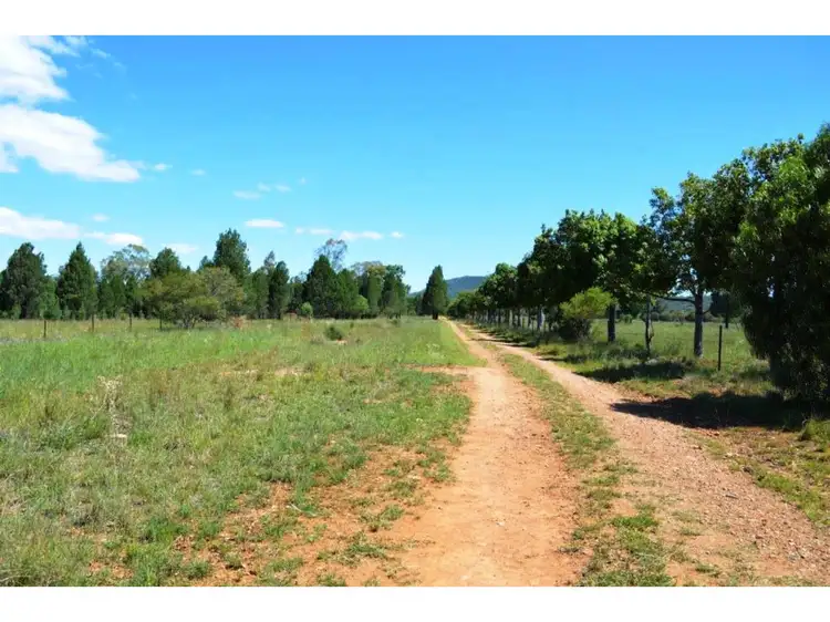 Third view of Homely rural property listing, 8299 Oxley Highway, Gunnedah NSW 2380
