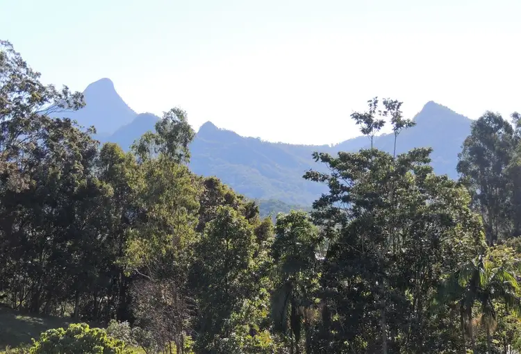 Fourth view of Homely rural property listing, 56 Chowan Creek Road, Uki NSW 2484