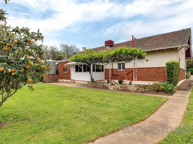 Third view of Homely house listing, 5 Galway Grove, Tranmere SA 5073
