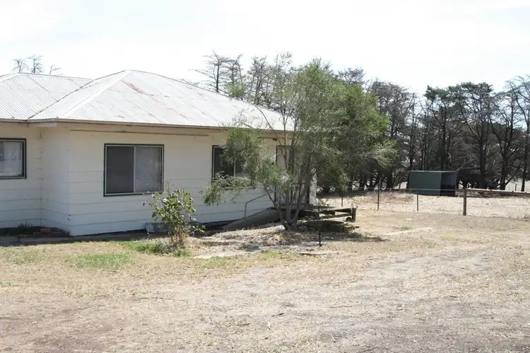 Second view of Homely rural property listing, 874 South Ridge Road, Henty VIC 3312