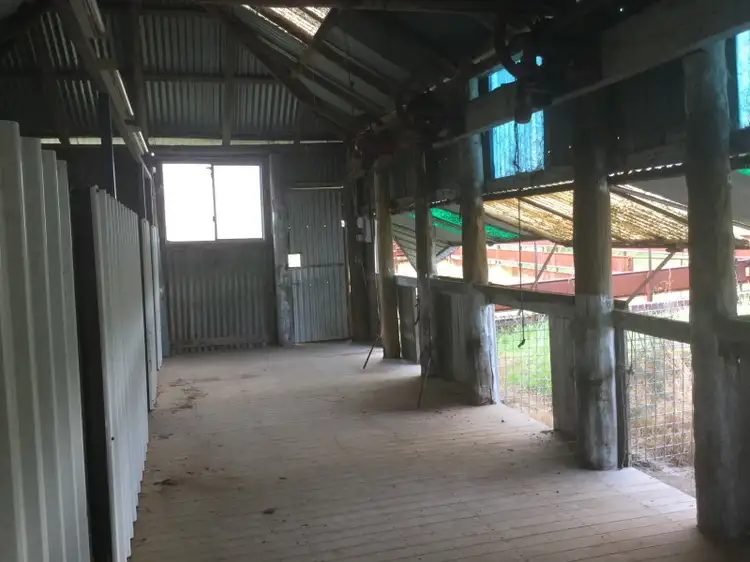 Sixth view of Homely rural property listing, - 'Box Field Park' Loch Lomond Road, Gooloogong NSW 2805