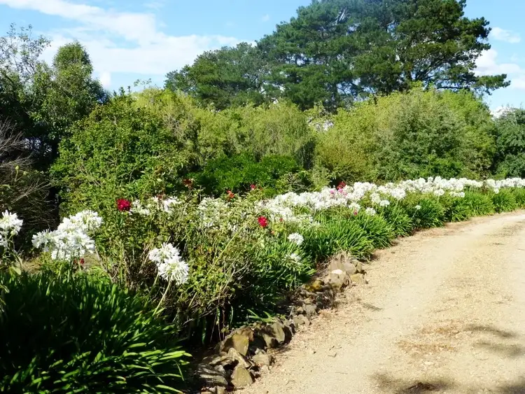 Fourth view of Homely rural property listing, 704 Forest Road, Orange NSW 2800