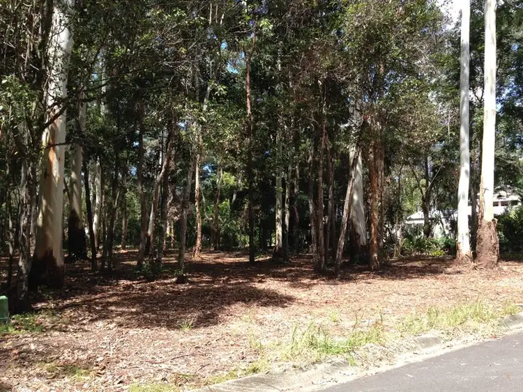 Sixth view of Homely land listing, 8 Rainforest Court, Boreen Point QLD 4565