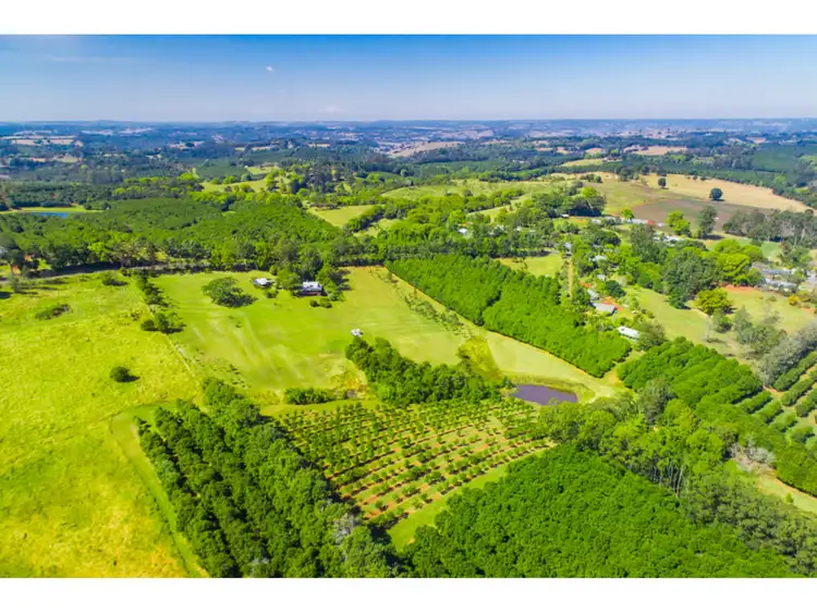 Third view of Homely rural property listing, 1575 Dunoon Road, Dunoon NSW 2480