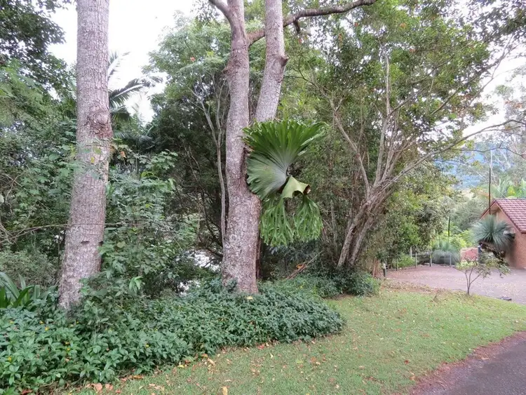 Fourth view of Homely house listing, 11 Mitchell Street, Uki NSW 2484