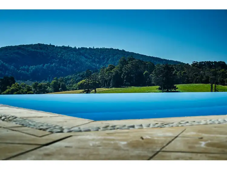 Third view of Homely house listing, 303 Slingsbys Road, Dorrigo NSW 2453