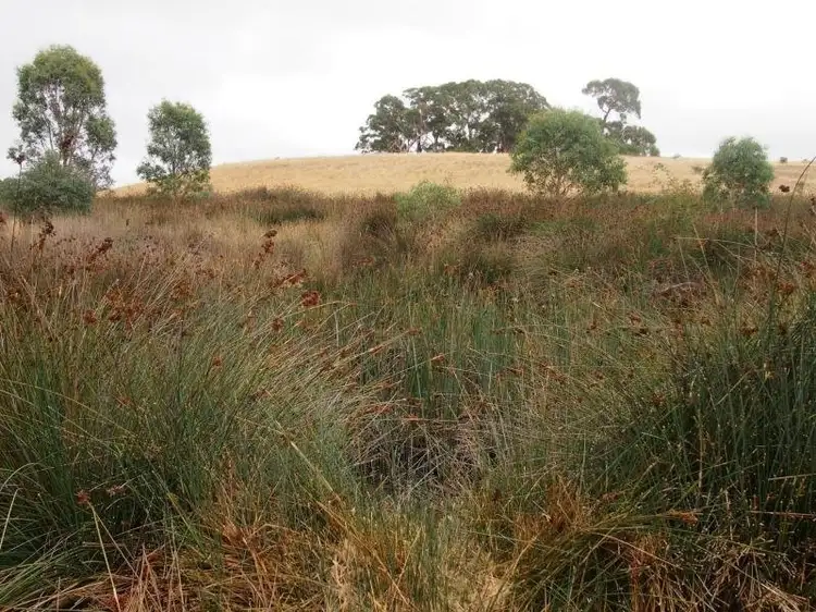 Seventh view of Homely land listing, 1871 Glenelg Highway, Wannon VIC 3301