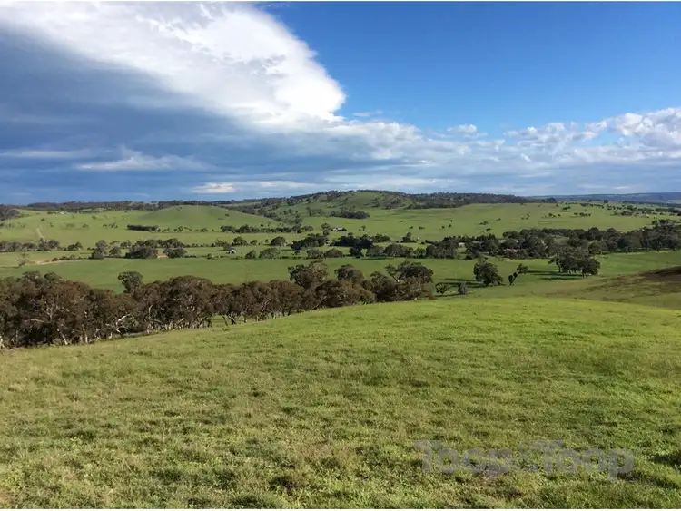 Seventh view of Homely land listing, LOT 20 Glenvale Road, Lower Inman Valley SA 5211