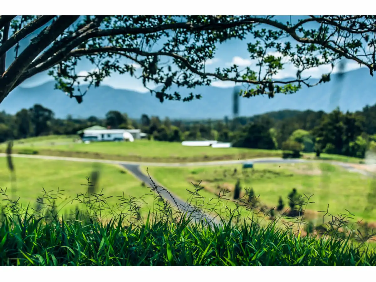 Main view of Homely land listing, LOT 13 Mclean Drive, Bellingen NSW 2454