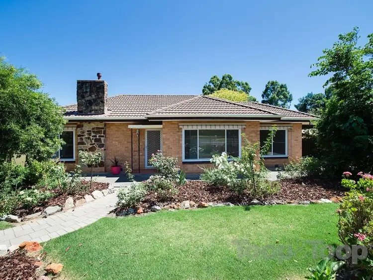 14 Paradise Grove, Highbury SA 5089