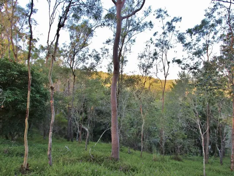 Third view of Homely land listing, 13 Wattle Street, Mount Crosby QLD 4306