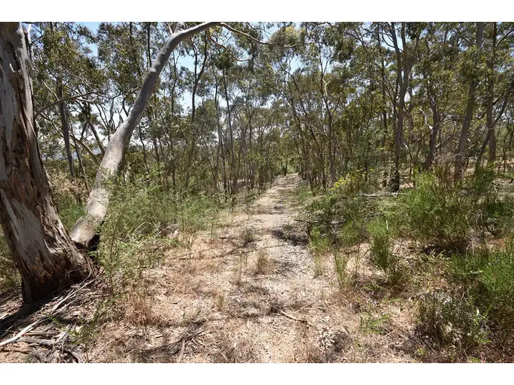 Fourth view of Homely rural property listing, Address available on request