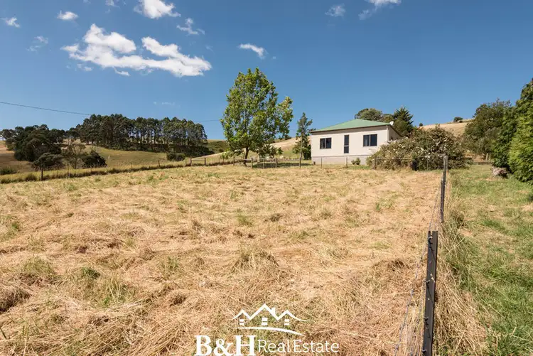 Main view of Homely house listing, 419 Paloona Road, Paloona TAS 7310