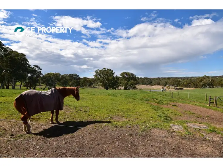 Second view of Homely rural property listing, 100 Black Snake Road, Birdwood SA 5234