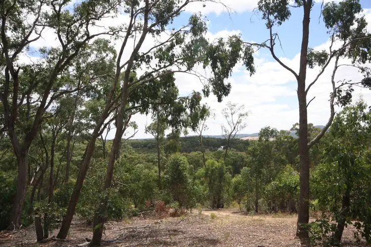 Main view of Homely land listing, 379 Lloyds Lane, Napoleons VIC 3352