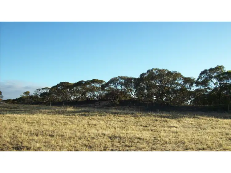 Seventh view of Homely rural property listing, Address available on request