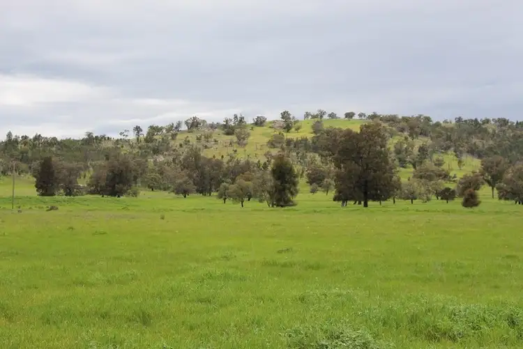 Fourth view of Homely rural property listing, 780 Mount Tallabung Road, Forbes NSW 2871