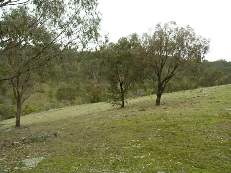 Fifth view of Homely house listing, 975 Old Tolmie Road, Mansfield VIC 3722