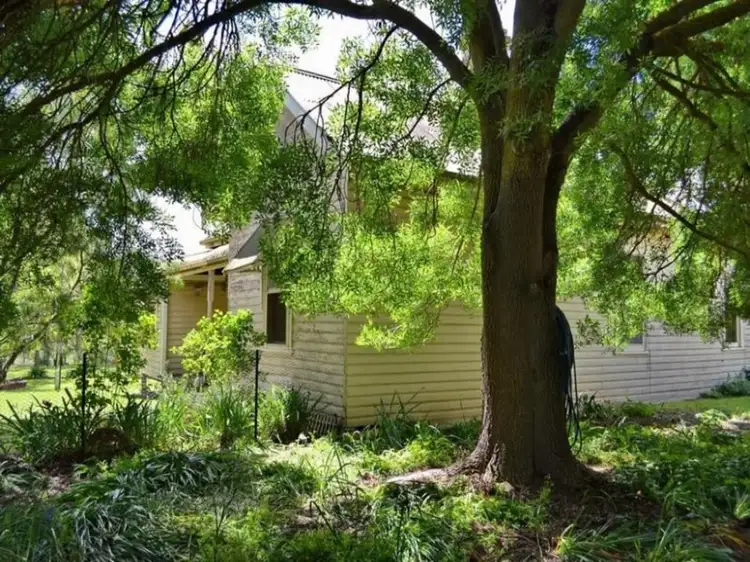 Main view of Homely house listing, 886 Mansfield-Whitfield Road, Mansfield VIC 3722