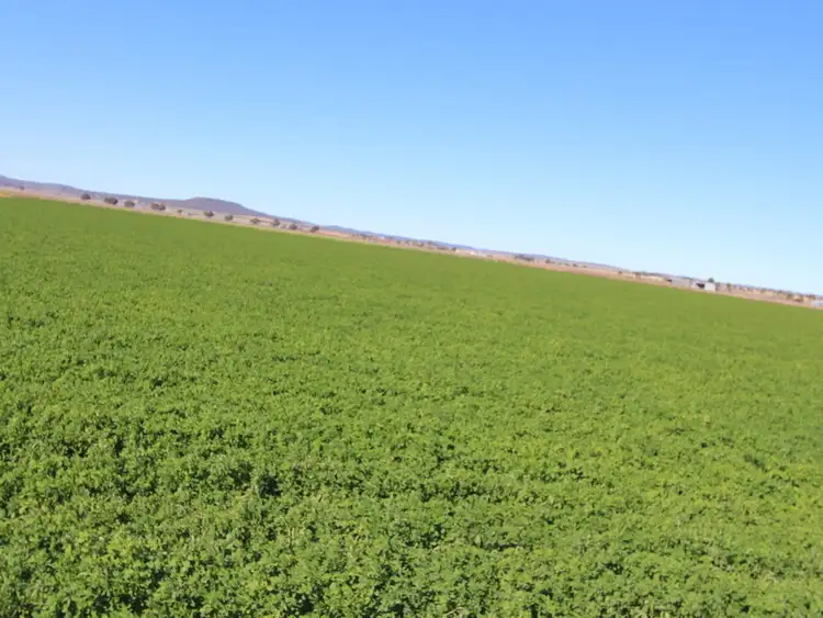 Seventh view of Homely rural property listing, Lot 105 Beutel Road, Clifton QLD 4361