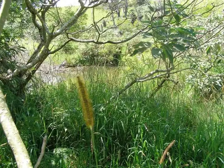 Sixth view of Homely rural property listing, F654 Lot 24 Kennedy Highway, Ravenshoe QLD 4888
