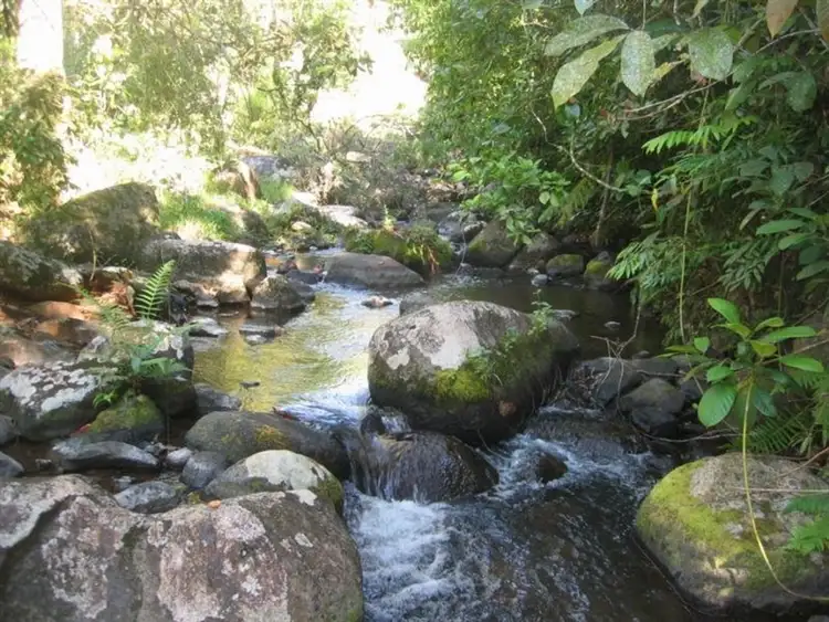 Third view of Homely rural property listing, F337 RN493 Maalan Road, Maalan QLD 4886